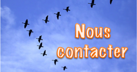 Nous contacter